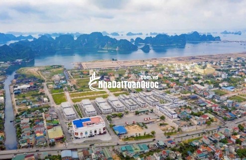 Chính chủ cần bán đất biệt thự Cẩm Bình-Cẩm Phả giá cắt lỗ