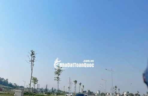 Tìm đâu ra siêu phẩm MBQH520 Rừng Thông,Thanh Hóa cực đẹp giá lại quá rẻ chỉ từ 1tỷ250