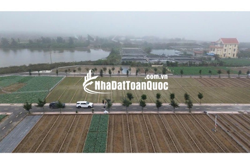 Siêu phẩm cạnh bãi tắm Quất Lâm 100m2 giá rẻ nhất thị trường