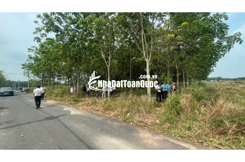 BÁN ĐẤT PHƯỜNG CHÁNH PHÚ HOÀ TP BẾN CÁT. NÀM CẠNH TP MỚI BÌNH DƯƠNG