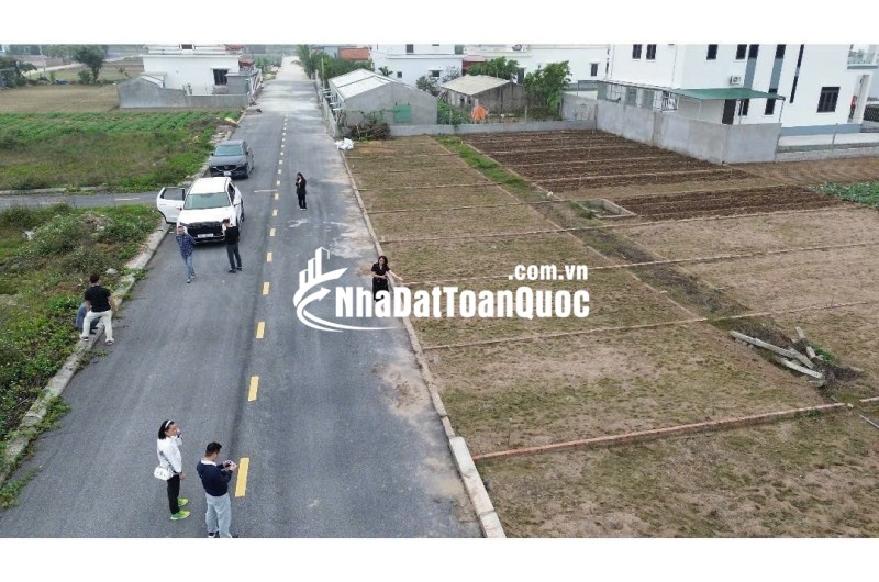 ĐẤT QUẤT LÂM