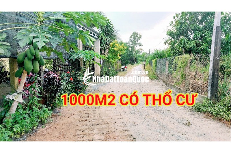 280 Triệu sang Tên 1000m2 có Thổ Cư, Gần DT 818, mỗi tháng trả thêm 3 triệu