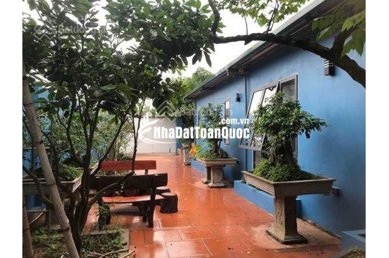 Cho thuê lâu dài nhà vườn tại Đông La 520m2. 3PN, full đồ cao cấp, 15tr/tháng, gần Tố Hữu, gần công viên, hồ điều hòa