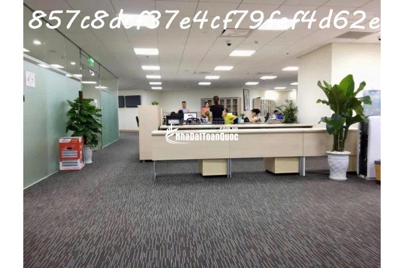 AI Bán nhà 228m² Lý Thường Kiệt, Tân Bình, 90 tỷ, sổ đỏ