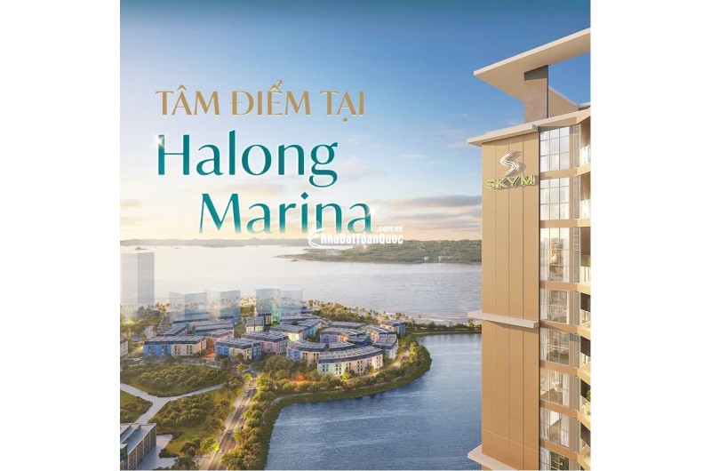 BÁN CĂN HỘ SKY M HẠ LONG - STUDIO - 31M2 - 1.5 TỶ - VỊ TRÍ VÀNG BÃI CHÁY