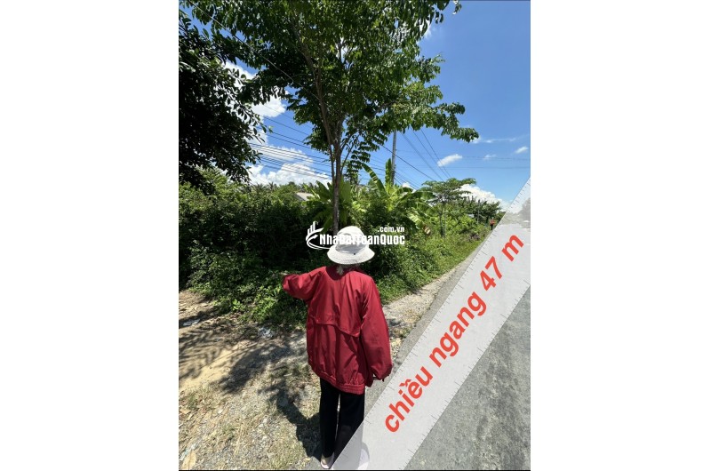 BÁN ĐẤT ĐẸP TẠI AN TRƯỜNG, CÀNG LONG, TRÀ VINH, 4700M2 CHỈ 250TR/1M NGANG. LH:0966397739