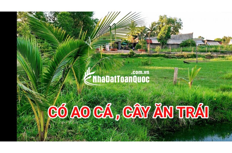 280 Triệu sang Tên 1000m2 có Thổ Cư, Gần DT 818, mỗi tháng trả thêm 3 triệu