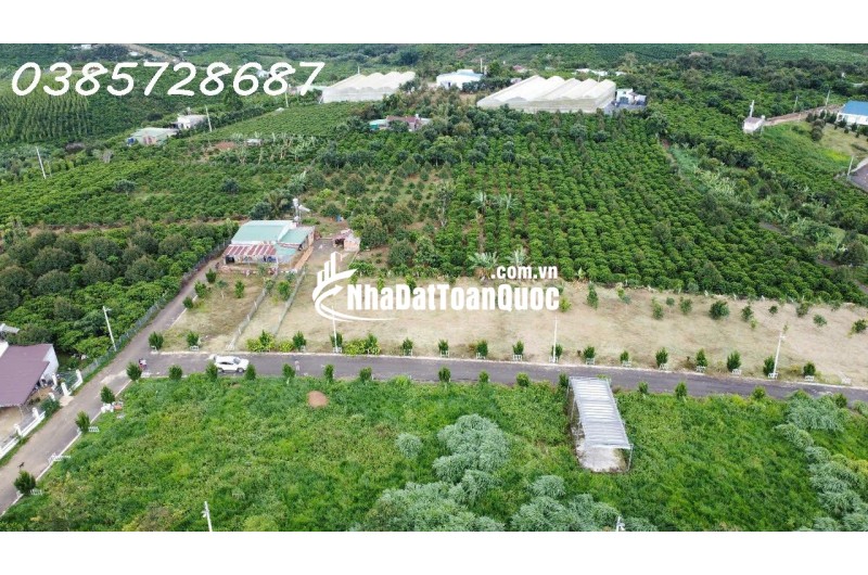 CẦN BÁN ĐẤT THỔ CƯ GIÁ RẺ TẠI LỘC AN – BẢO LÂM