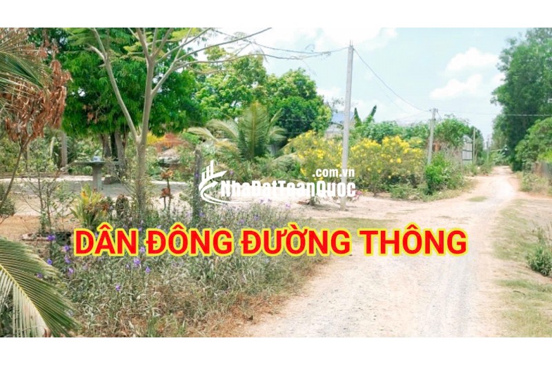 280 Triệu sang Tên 1000m2 có Thổ Cư, Gần DT 818, mỗi tháng trả thêm 3 triệu