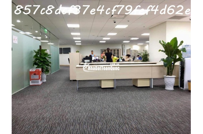 AI Bán nhà 228m², 7 tầng, Lý Thường Kiệt, Tân Bình, 85 tỷ, sổ đỏ