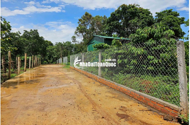 ĐẤT NÔNG NGHIỆP 1.7 HA, EA KAO - BUÔN MA THUỘT  - GIÁ HẤP DẪN 450 TRIỆU/SÀO
