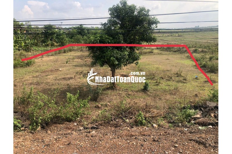 Đất 400 m2 thổ cư, 17m Mặt tiền Tỉnh lộ 1 - Huyện Buôn Đôn - Đăk Lăk, giá chỉ 170 tr/m