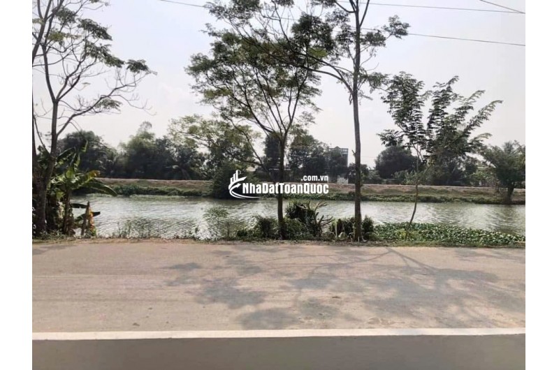 Bán 2750m2 đất mặt sông siêu đẹp Vàm Cỏ Tây, Thạnh Hoá, Long An, đường ô tô tận nơi