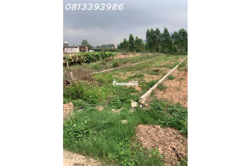 Lô đất cực đẹp gần KCN Huyền Sơn – Diện tích 172.9m² – tiềm năng cho thuê cực cao