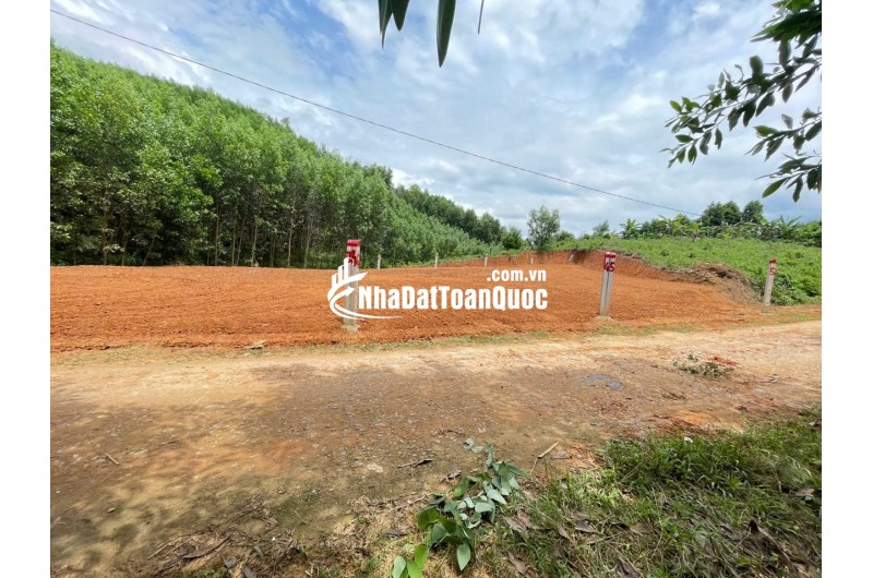 BÁN LOCK 5 LÔ KHÁNH ĐÔNG, KHÁNH VĨNH, KHÁNH HÒA FULL THỔ DÂN ĐÔNG 2 ĐẦU, ĐƯỜNG Ô TÔ TẬN ĐẤT