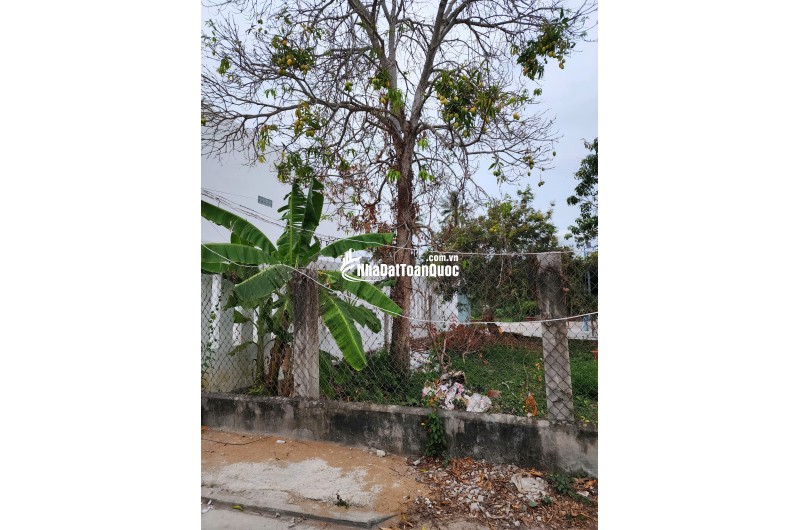 Bán đất Phường 6 Lê Thị Hồng Gấm vô 100m 4x20m Thổ cư Giá 1.6 tỷ Gần Chợ Vòng Nhỏ