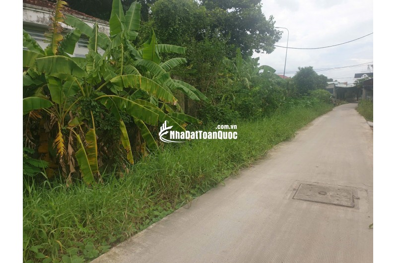 Bán Đất Bình Chánh 8x18m Full thổ, Hoàng Phan Thái vô 50m Ngay chợ Bình Chánh Giá 35tr/m