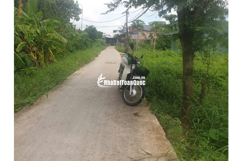 Bán Đất Bình Chánh 8x18m Full thổ, Hoàng Phan Thái vô 50m Ngay chợ Bình Chánh Giá 35tr/m
