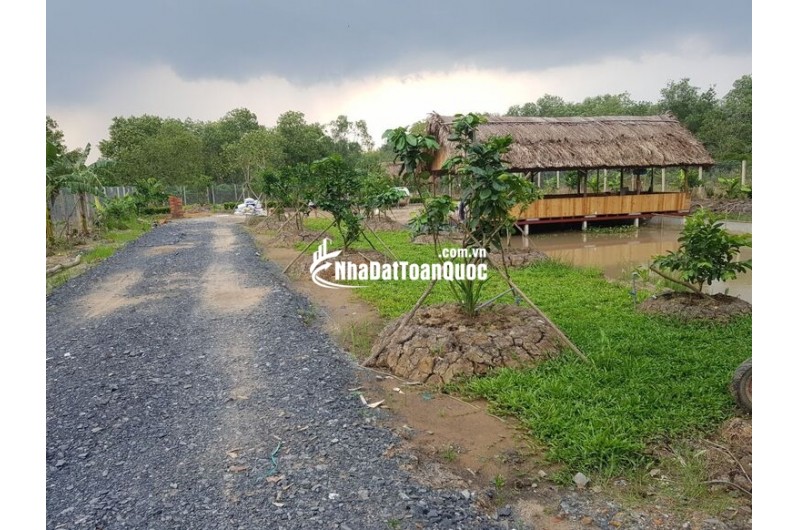 Bán Gấp 1000m2 Đất Vườn Giá 210 Triệu Liên Hệ 0706320631 gặp A An