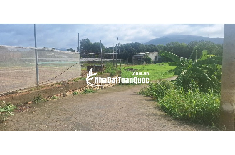 BÁN ĐẤT ĐƯỜNG TRÁNH QL56 TÂN HẢI, PHÚ MỸ, BÀ RỊA VŨNG TÀU. 1773M2 CÓ 300M2 THỔ CƯ. LH:0588201669
