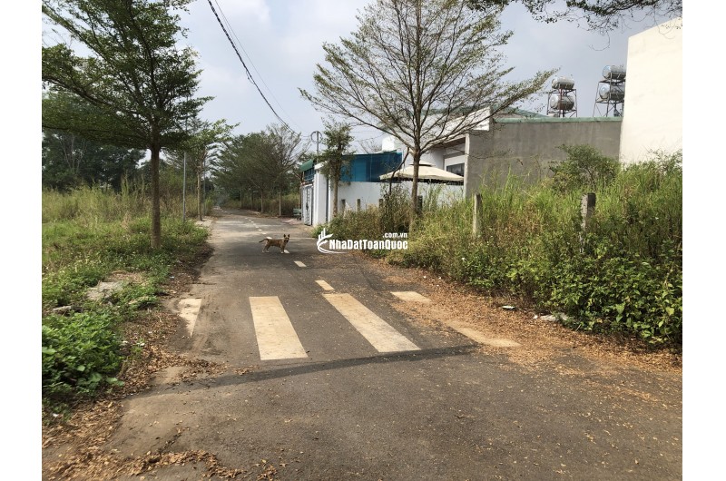 Bán 118m2 đất ở 1 sẹc Nguyễn Hoàng, xã Trảng Bom, tỉnh Đồng Nai