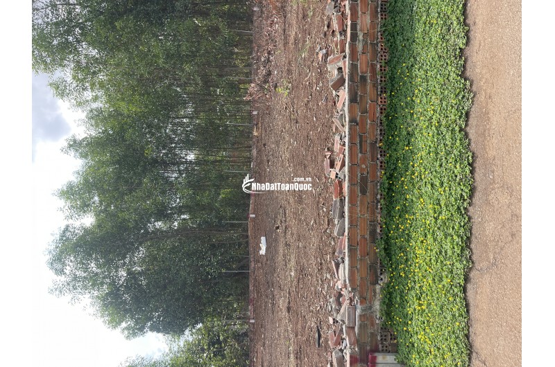Kẹt tiền Cần Bán 100m2, Sổ riêng  thổ cư 100%, Tại Huyện Trảng Bom Chỉ 8xx