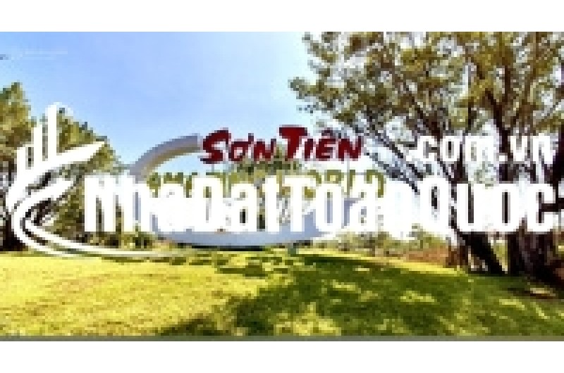 Bán đất tại Nguyễn Trung Trực, An Hòa, Biên Hòa, Đồng Nai, giá siêu hời 1.3xx