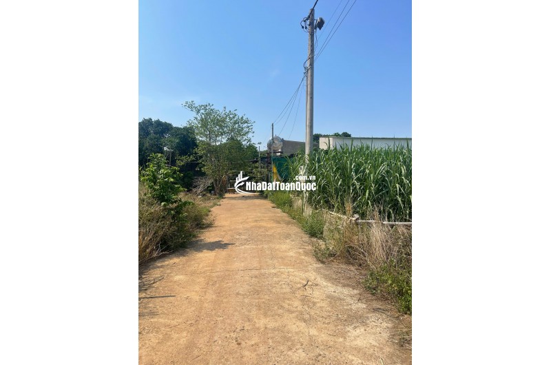 Giá 785 tr (bao sổ) đất ở cạnh KCN Bàu Xéo