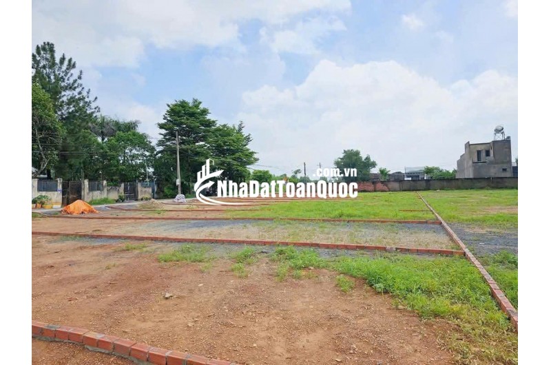 Bán đất cạnh Tổng kho Logistic miền Đông 620ha