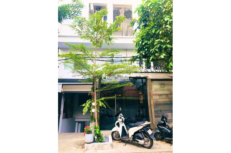 DOANH THU 300TR/THÁNG. BÁN TÒA NHÀ VĂN PHÒNG & CĂN HỘ DỊCH VỤ – NGUYỄN VĂN ĐẬU, BÌNH THẠNH
