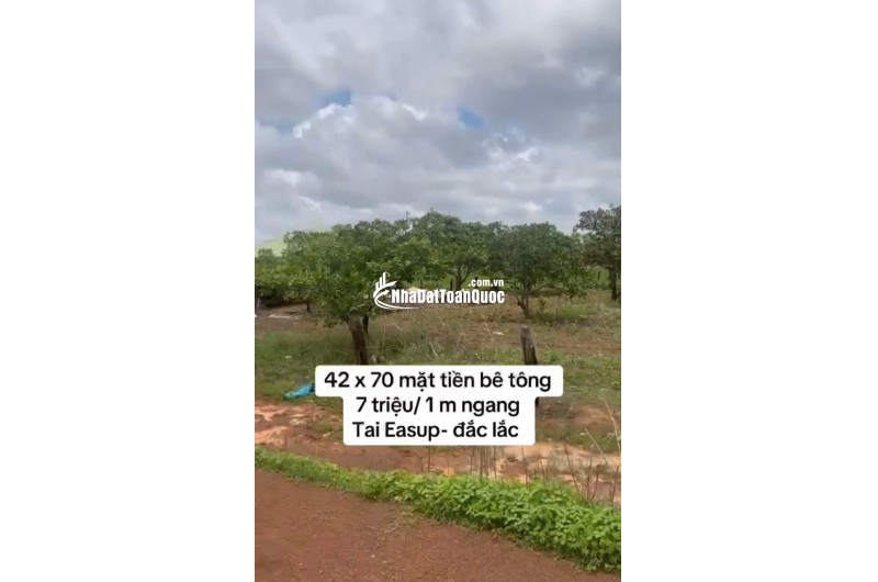 KẸT TIỀN BÁN GẤP 3361,1MV ĐẤT CÁCH XÃ CƯ K BANG, E A SÚP, ĐẮC LẮC 1.5KM CHỈ 300TR. LH:0888889603