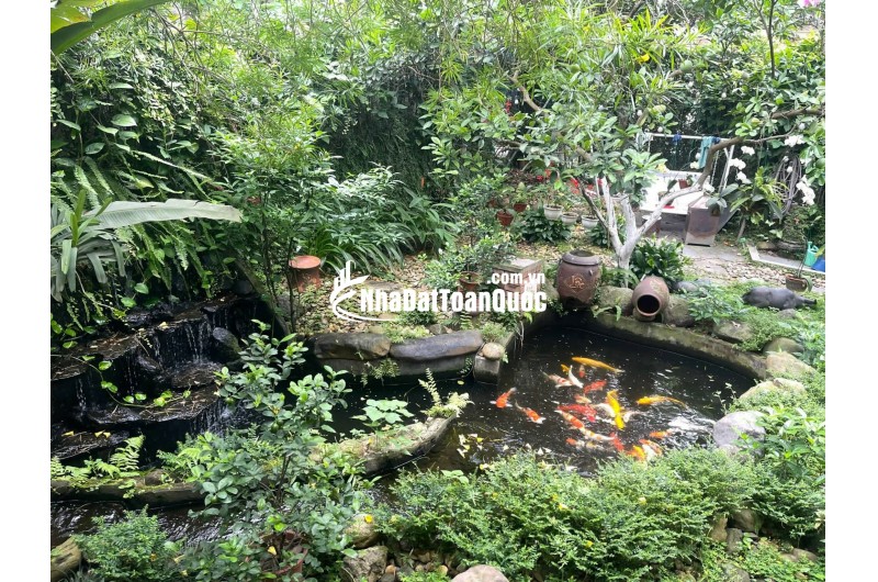  BÁN BIỆT THỰ SÂN VƯỜN NGỌC THỤY – TRUNG TÂM LONG BIÊN 
 Diện tích đất: 378m² – Diện tích sử dụng: 428m²
 Mặt tiền rộng: 11m – 2 mặt ngõ