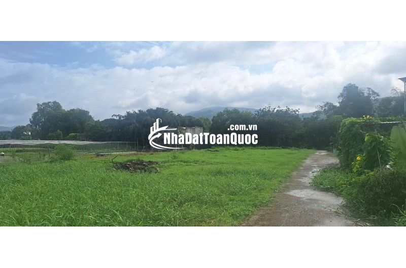 BÁN ĐẤT ĐƯỜNG TRÁNH QL56 TÂN HẢI, PHÚ MỸ, BÀ RỊA VŨNG TÀU. 1773M2 CÓ 300M2 THỔ CƯ. LH:0588201669