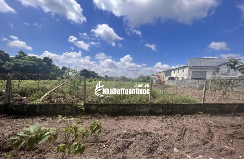 Bán Gấp 1000m2 Đất Vườn Giá 210 Triệu Liên Hệ 0706320631 gặp A An