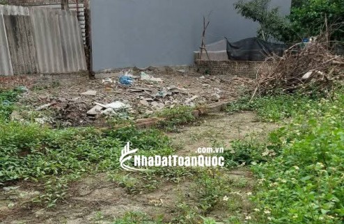 Rẻ và đẹp như này không mua thì mua ở đâu đất vạn 3 124m giá cho ae đầu tư khu vực đân cư than thiện tiện ích xung quanh đầy đủ oto vao dat 20m