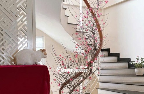 SIÊU PHẨM CHDV CỰC HIẾM KHU CHÙA HÀ - ANH EM MẶT PHỐ - Ô TÔ TRÁNH DỪNG ĐỖ TRƯỚC NHÀ - MẤY BƯỚC CHÂN RA VÒNG XUYẾN - 11 PHÒNG KHÉP KÍN - DOANH THU