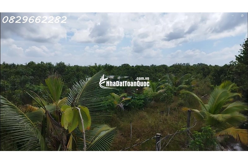 Bán Đất Vườn Cây Ăn Trái, Hòa Long, Đồng Tháp DT 44000m2, Giá 22 Tỷ, Sổ Hồng Chính Chủ.