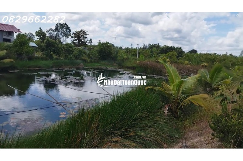 Bán Đất Vườn Cây Ăn Trái, Hòa Long, Đồng Tháp DT 44000m2, Giá 22 Tỷ, Sổ Hồng Chính Chủ.
