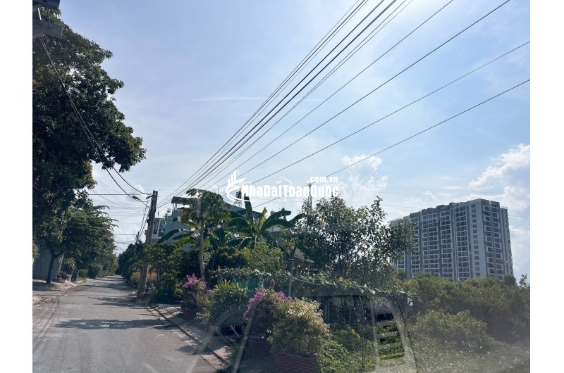 Bán Đất Biệt Thự 305M² – Đường 41 Gò Cát, Phú Hữu, TP. Thủ Đức