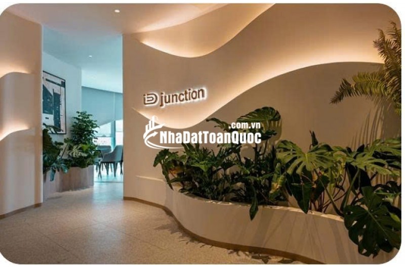 Nhà đầu tiên xứng đáng hơn bạn nghĩ