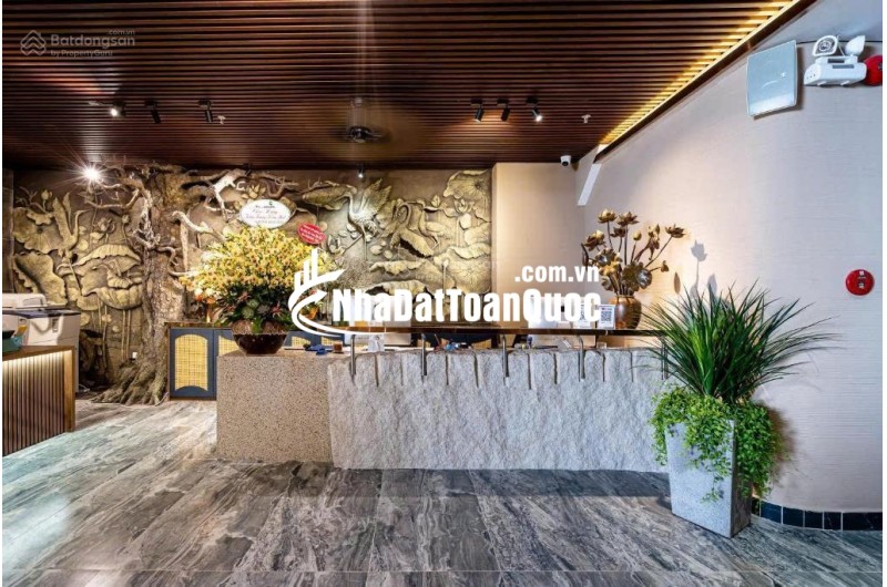 BÁN TOÀ NHÀ 6 TẦNG – 262,1m² – Dương Quảng Hàm, Phường 5, Gò Vấp – GIÁ 45 TỶ