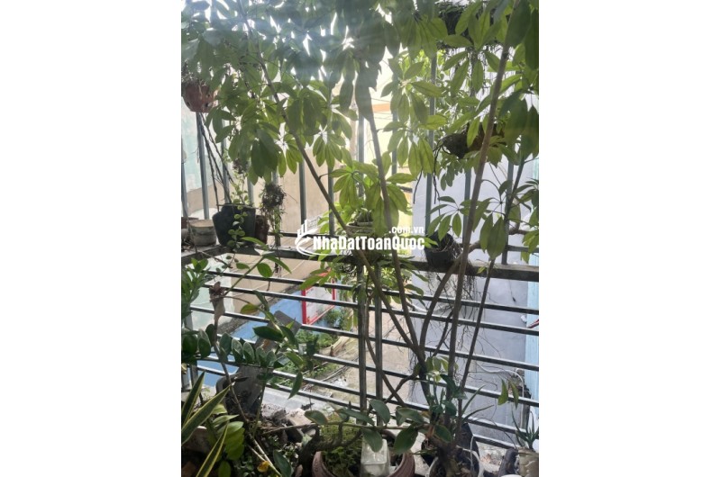 BÁN NHÀ ĐẸP KIẾN TRÚC VIEW RỪNG CÔNG VIÊN 66/ XVNT, P.21, BÌNH THẠNH. Giá 5.8 tỷ, 5PN
