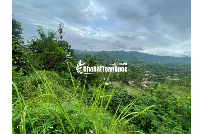 Bán đất có nhà và kho bãi tại bản tà lèng,xã thanh minh, tp Điện Biên Phủ