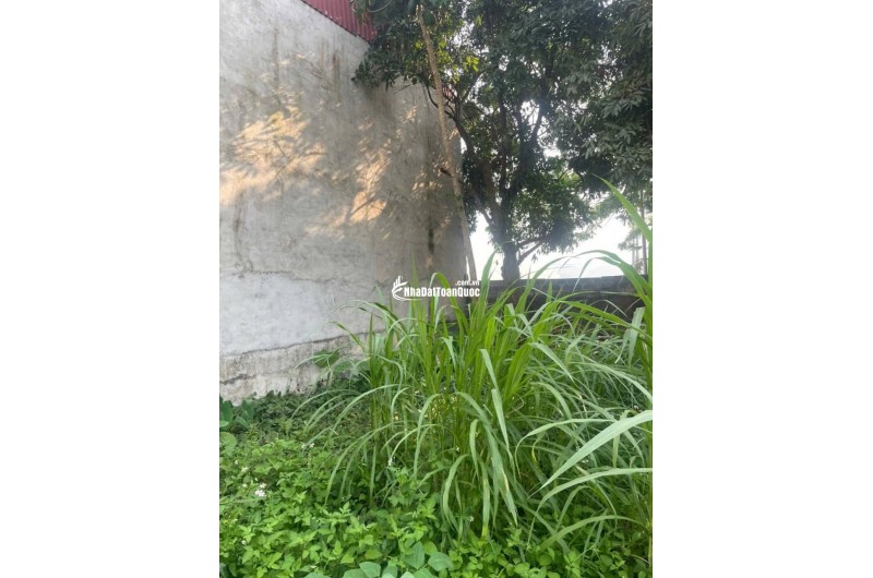 Bán nhà đất ở Nông thôn + đất nông nghiệp tại Thanh Hà, xã thanh chăn ,huyện Điện Biên