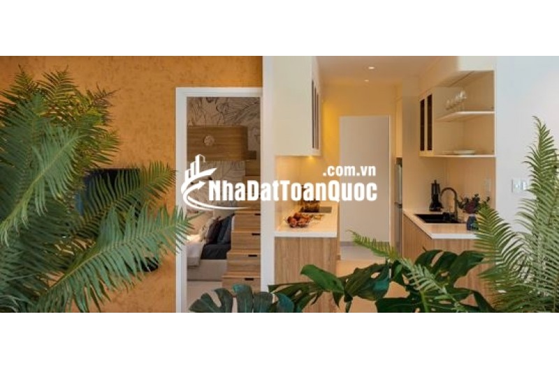 Nhà đầu tiên xứng đáng hơn bạn nghĩ