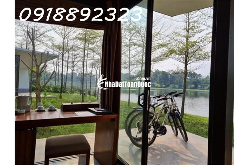 Tại Sao Nên Đầu Tư Hòa Bình Ngay Lúc Này?