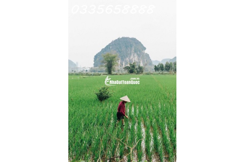 Review Du Lịch Hòa Bình: Trải Nghiệm 