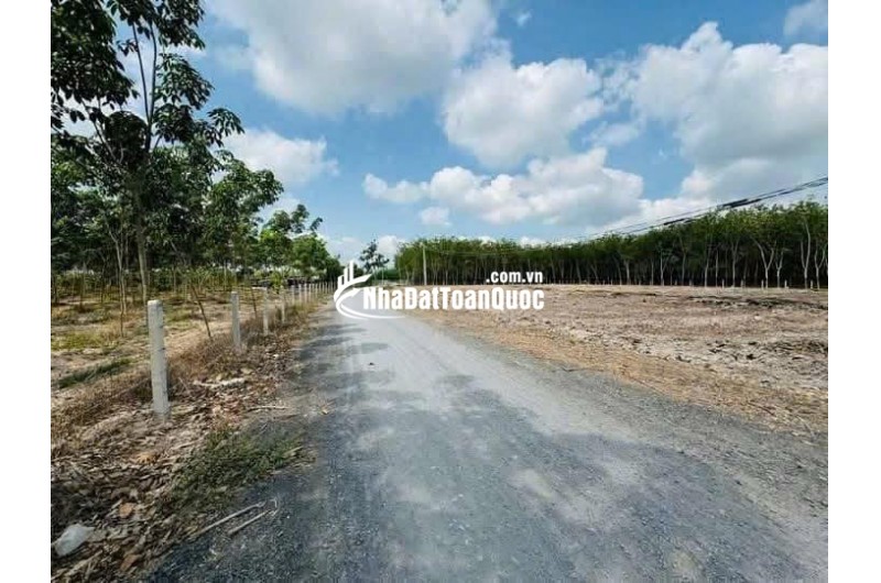  Đất 5x37m, thổ cư 100m² – Giá chỉ 480 triệu