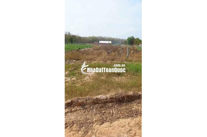 Đất thổ cư mặt tiền đường nhựa 7m – Giá chỉ 480 triệu