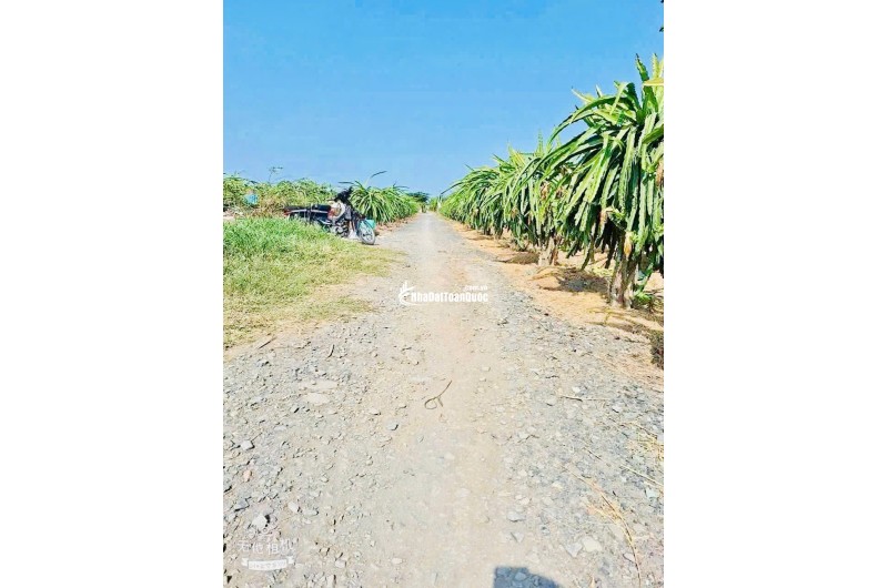 Cơ hội sở hữu đất nền giá NGỘP chỉ 350 triệu